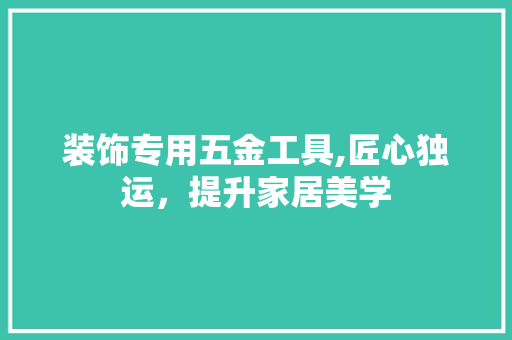 装饰专用五金工具,匠心独运，提升家居美学 现代风格装饰