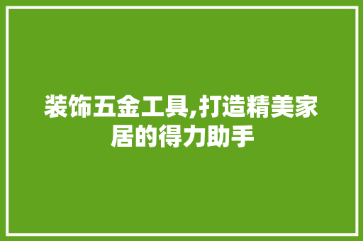 装饰五金工具,打造精美家居的得力助手 现代风格装饰
