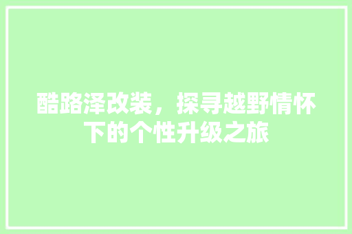酷路泽改装，探寻越野情怀下的个性升级之旅