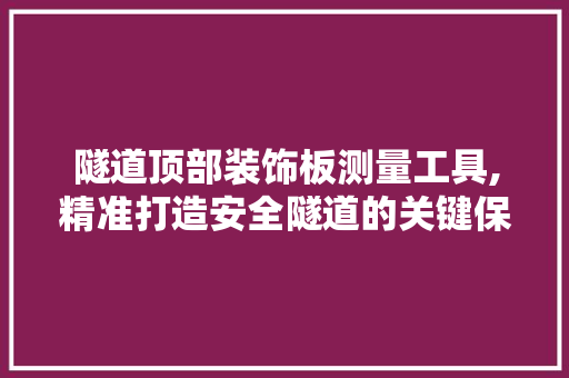 隧道顶部装饰板测量工具,精准打造安全隧道的关键保障