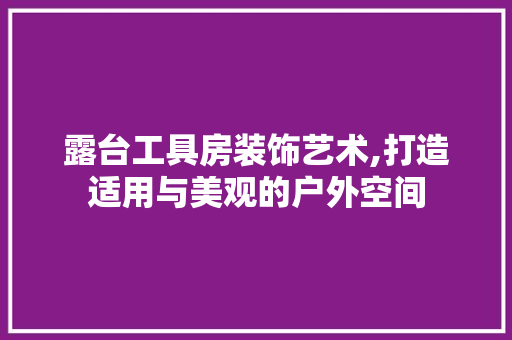 露台工具房装饰艺术,打造适用与美观的户外空间 现代风格装饰