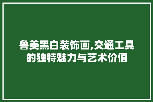 鲁美黑白装饰画,交通工具的独特魅力与艺术价值 地板材料