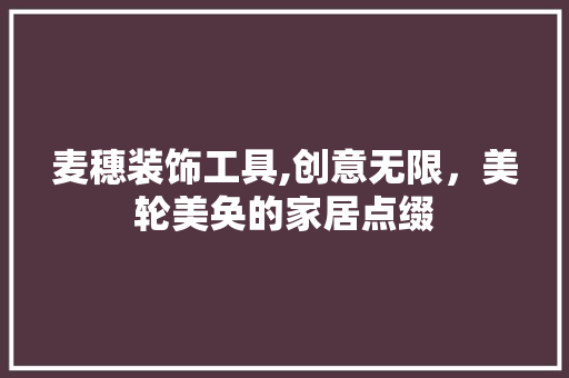 麦穗装饰工具,创意无限，美轮美奂的家居点缀 室内设计