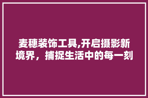 麦穗装饰工具,开启摄影新境界，捕捉生活中的每一刻美 中式风格装饰