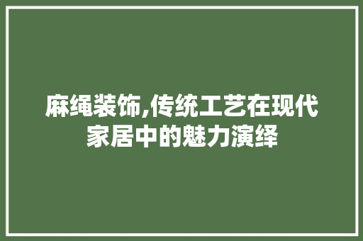 麻绳装饰,传统工艺在现代家居中的魅力演绎 客厅装修