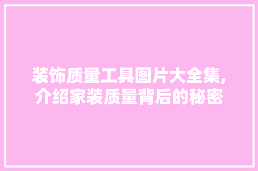 装饰质量工具图片大全集,介绍家装质量背后的秘密