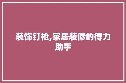 装饰钉枪,家居装修的得力助手 中式风格装饰