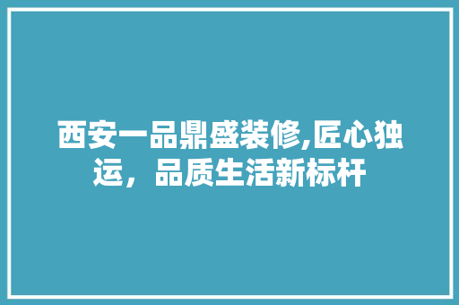 西安一品鼎盛装修,匠心独运，品质生活新标杆 软装设计