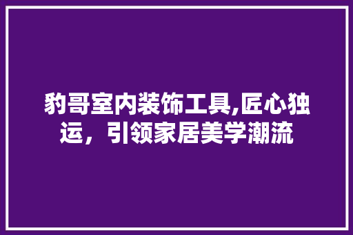 豹哥室内装饰工具,匠心独运，引领家居美学潮流 软装设计