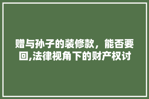 赠与孙子的装修款，能否要回,法律视角下的财产权讨论 中式风格装饰