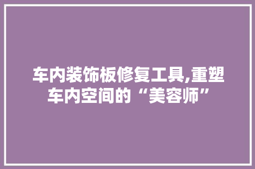车内装饰板修复工具,重塑车内空间的“美容师”