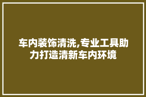 车内装饰清洗,专业工具助力打造清新车内环境 软装设计