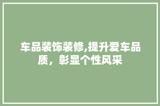 车品装饰装修,提升爱车品质，彰显个性风采 卧室装修