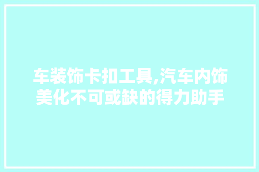 车装饰卡扣工具,汽车内饰美化不可或缺的得力助手 软装设计