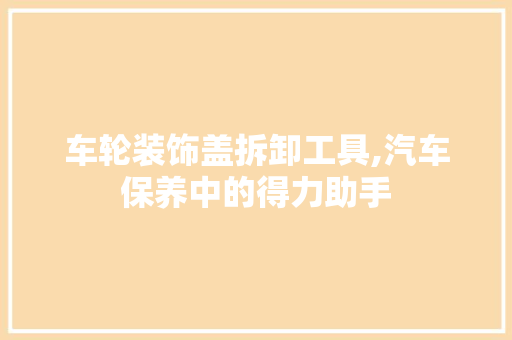 车轮装饰盖拆卸工具,汽车保养中的得力助手 软装设计