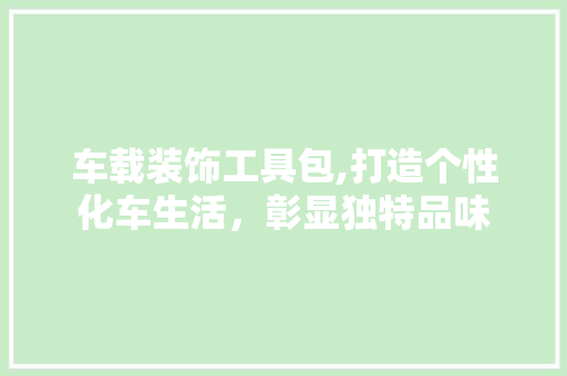 车载装饰工具包,打造个性化车生活，彰显独特品味 地板材料