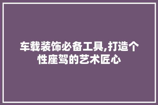 车载装饰必备工具,打造个性座驾的艺术匠心 现代风格装饰
