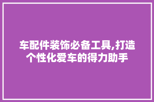 车配件装饰必备工具,打造个性化爱车的得力助手 客厅装修