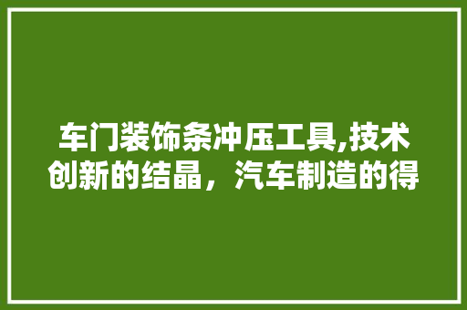 车门装饰条冲压工具,技术创新的结晶，汽车制造的得力助手 家居装修