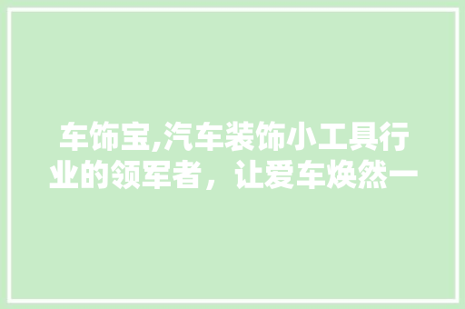 车饰宝,汽车装饰小工具行业的领军者，让爱车焕然一新 客厅装修