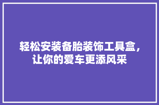 轻松安装备胎装饰工具盒，让你的爱车更添风采 现代风格装饰