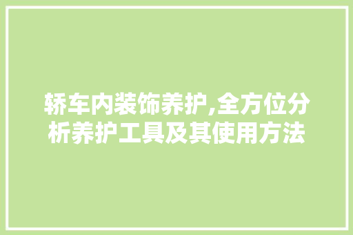 轿车内装饰养护,全方位分析养护工具及其使用方法 现代风格装饰