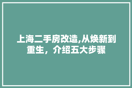 上海二手房改造,从焕新到重生,介绍五大步骤