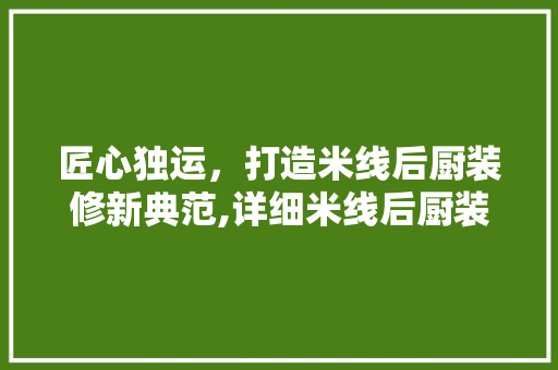 匠心独运,打造米线后厨装修新典范,详细米线后厨装修设计要点
